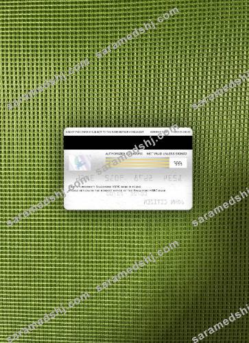 Singapore HSBC Bank visa classic card photolook back
